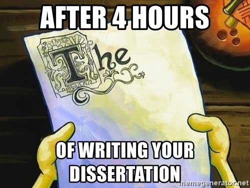 After 4 hours of writing your dissertation meme
