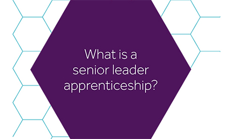 what is a senior leader apprenticeship