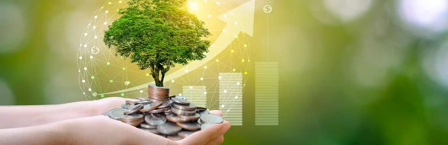 hand holding coins with a tree appearing to grow out of them and an upwards trending graph on a bright green background