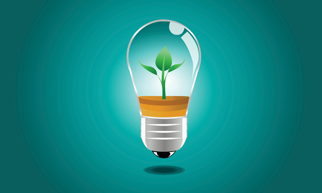 An image of a light bulb with a plant growing inside of it on a teal background. 