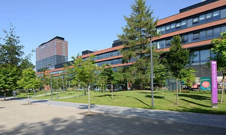 University Green in the sunshine